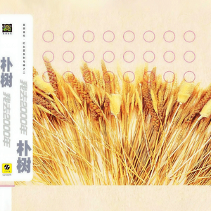 宁艺卓做爱视频
