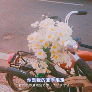 宁艺卓做爱视频
